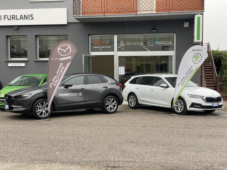 Furlanis Motori Srls